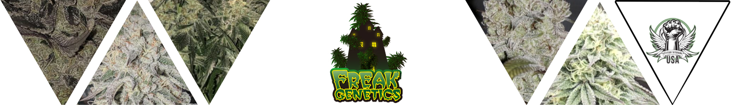 Freak Genetics Seeds