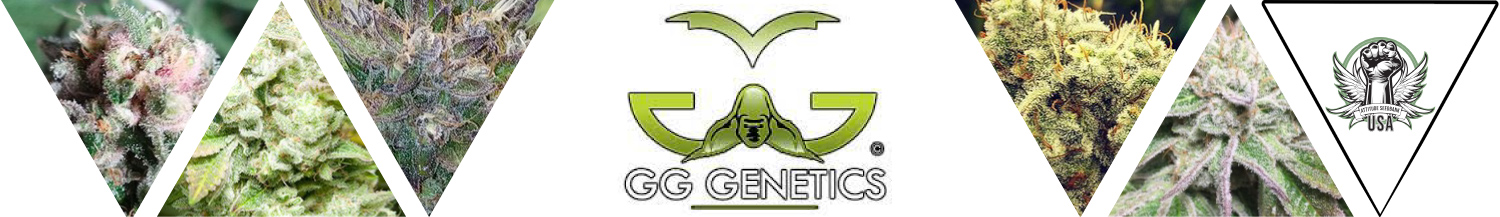GG Genetics Seeds