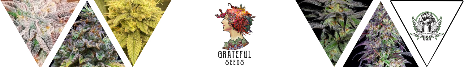 Grateful Seeds