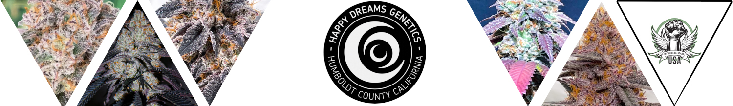 Happy Dreams Genetics Seeds