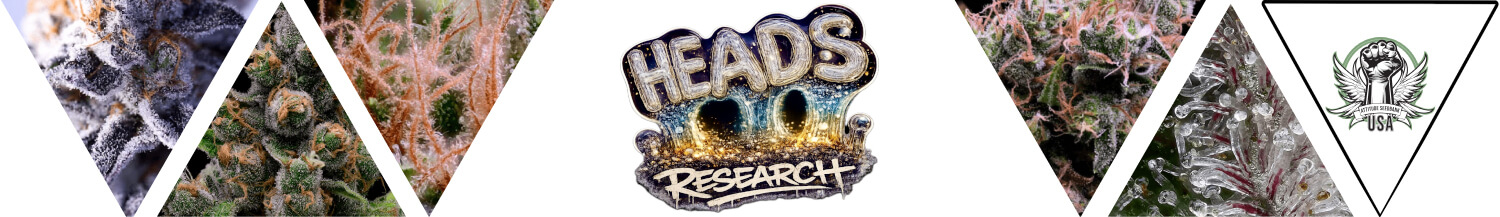 Heads Research Seeds