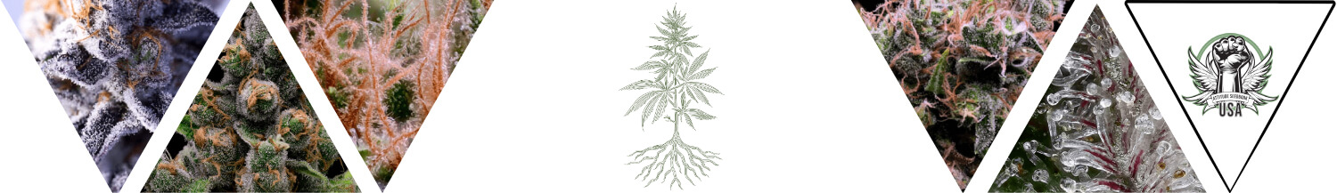 High Tree Gardens