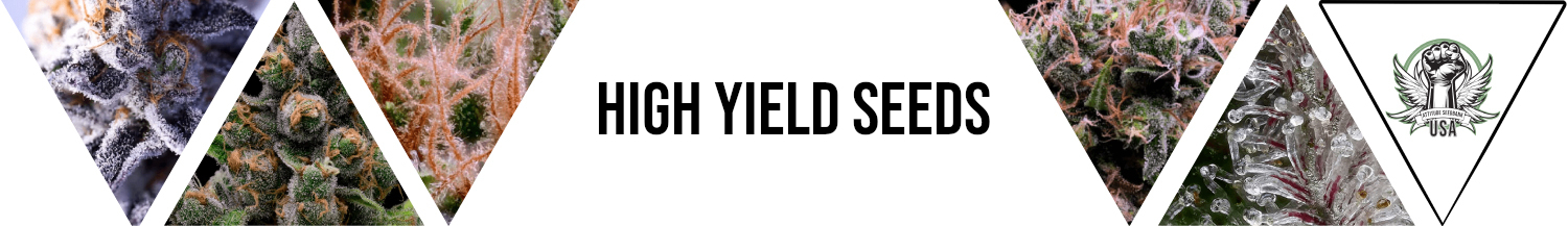 High Yield Seeds