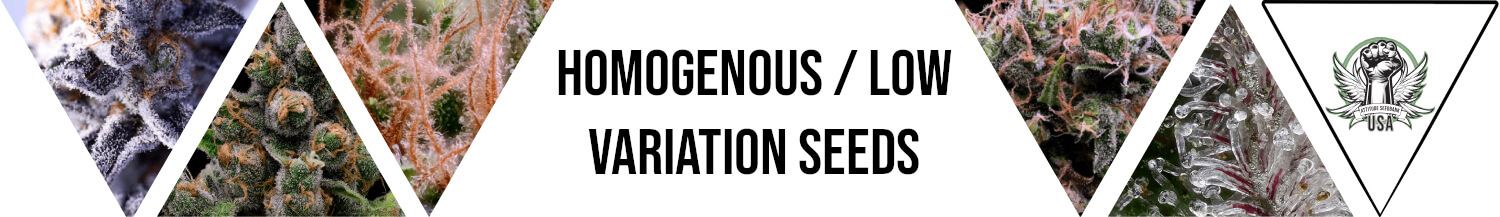 Homogenous / Low Variation Seeds