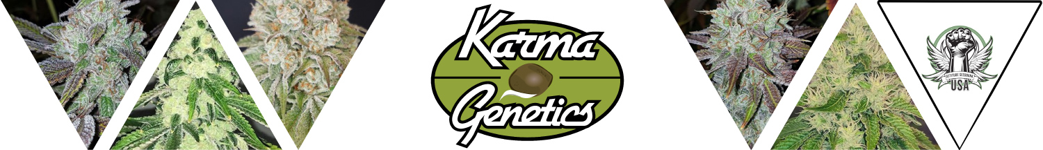 Karma Genetics Seeds