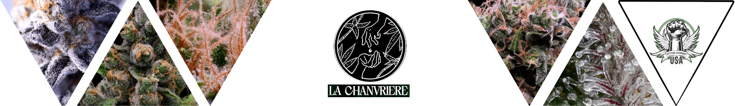 La Chanvriere Seeds