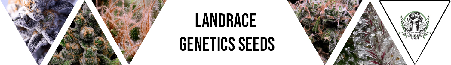 Landrace Genetics Seeds