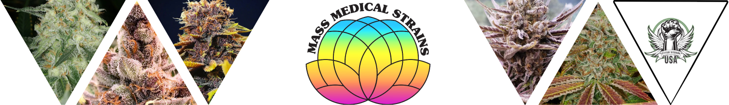 Mass Medical Strains Seeds