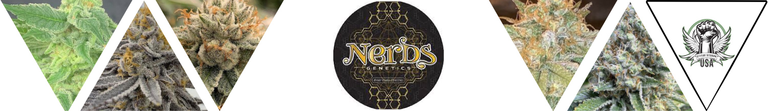Nerds Genetics Seeds