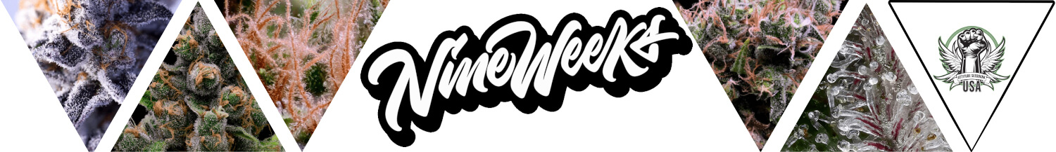 Nine Weeks Harvest Seeds