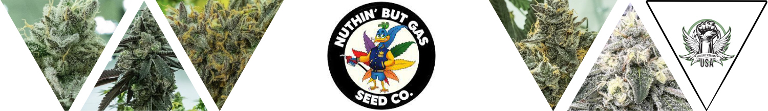 Nuthin' But Gas Seeds