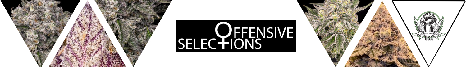 Offensive Selections Seeds