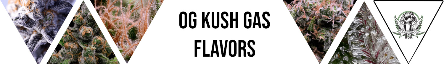 OG Kush Gas Flavors Seeds