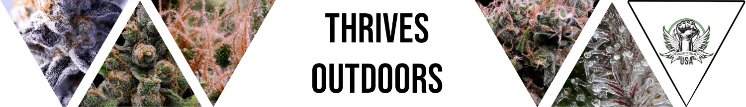 Outdoor Seeds