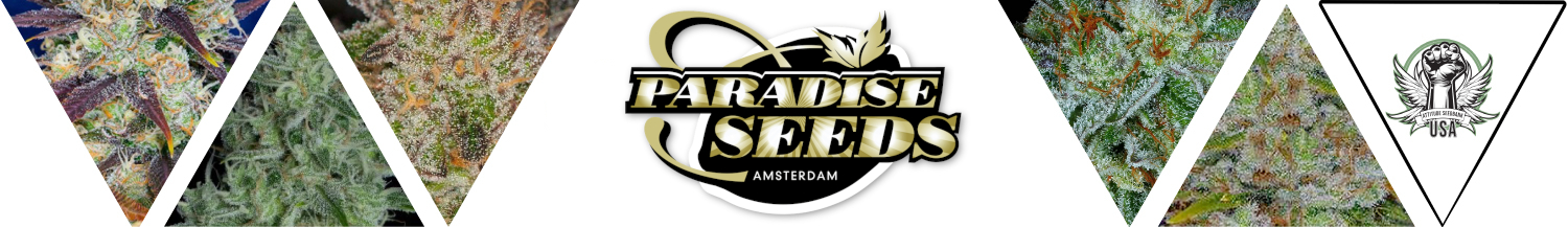 Paradise Seeds