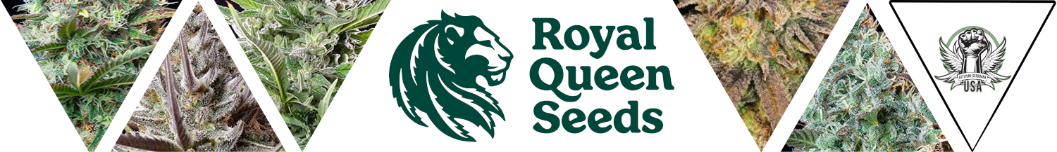 Royal Queen Seeds