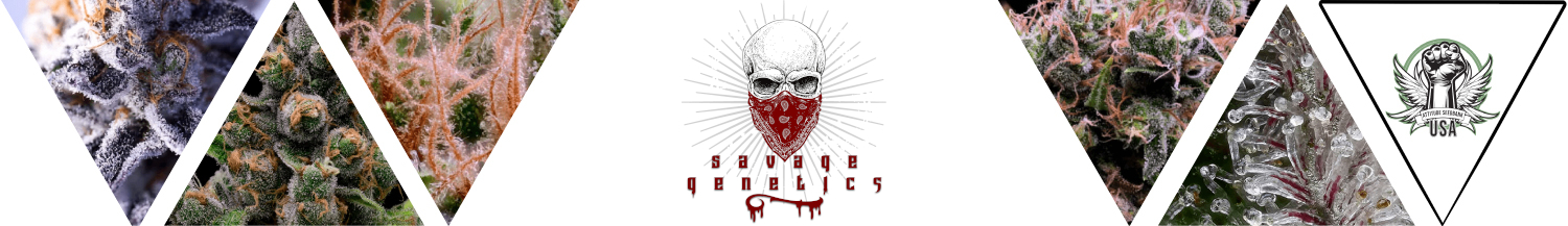 Savage Genetics Seeds