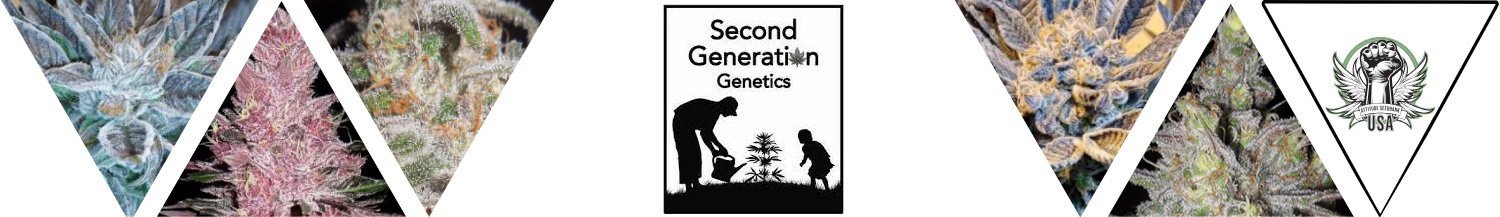 Second Generation Genetics Seeds