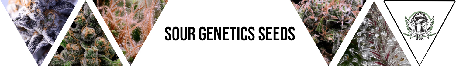 Sour Genetics Seeds
