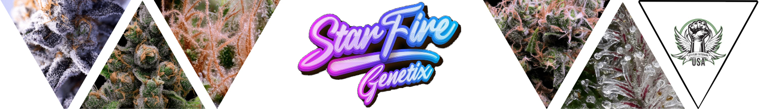 StarFire Genetix Seeds