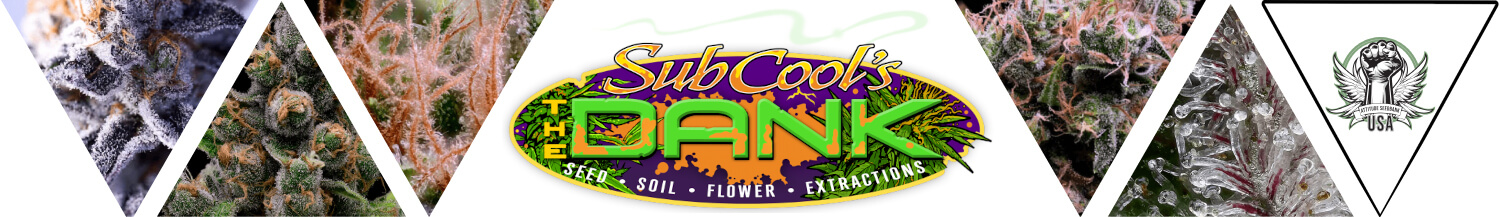 Subcool Seeds