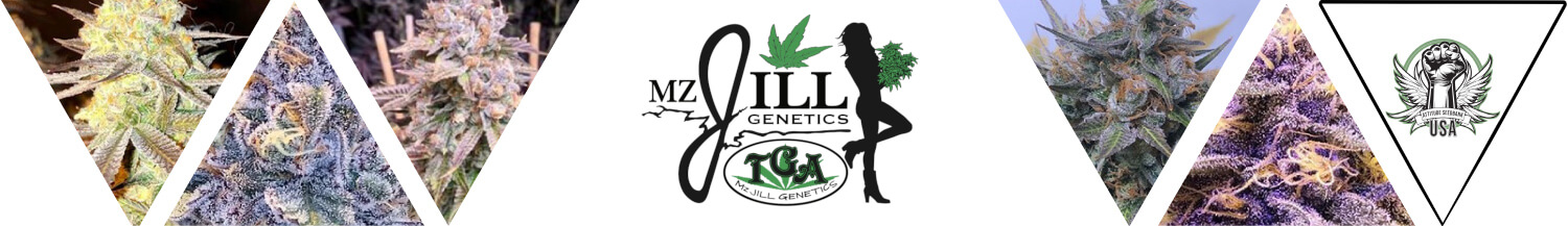 TGA Mz Jill Genetics Seeds