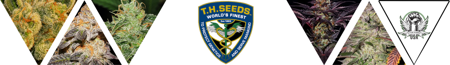 TH Seeds