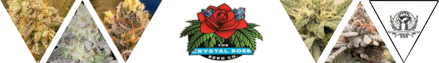 The Crystal Rose Seed Co Seeds