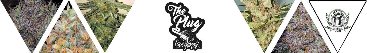 The Plug Seedbank Seeds