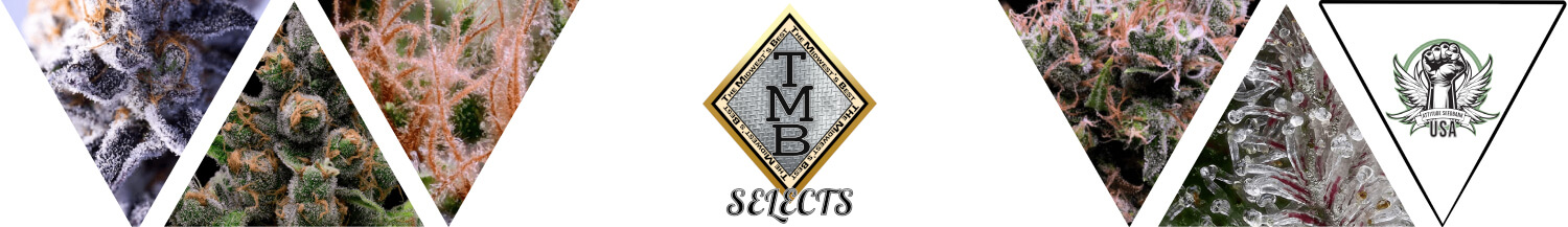 TMB Selects Seeds