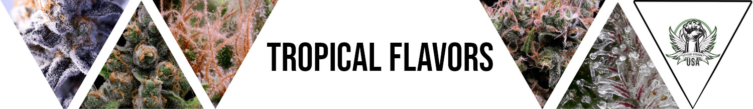 Tropical Flavors Seeds