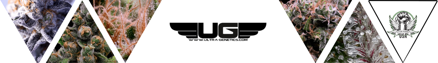 Ultra Genetics Seeds