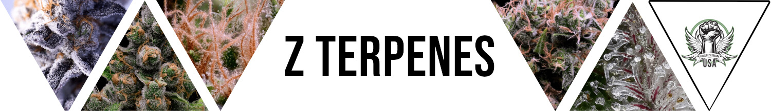 Z Terpenes