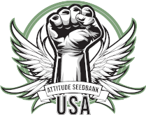 Attitude Logo