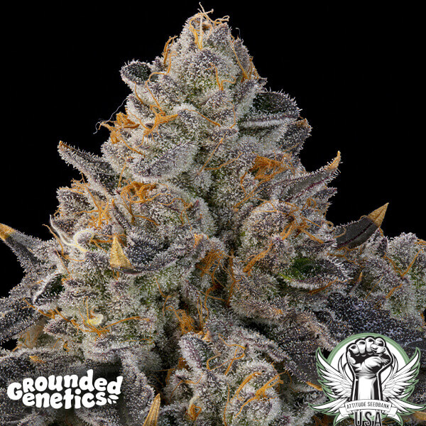 attitude groundedgenetics peach gummies2 600x600_600x600.jpg