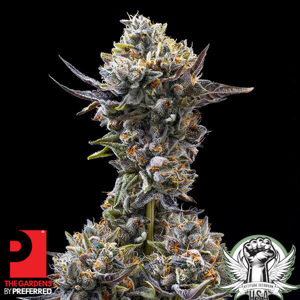 The Gardens by Preferred Znackz x Lazer Gun