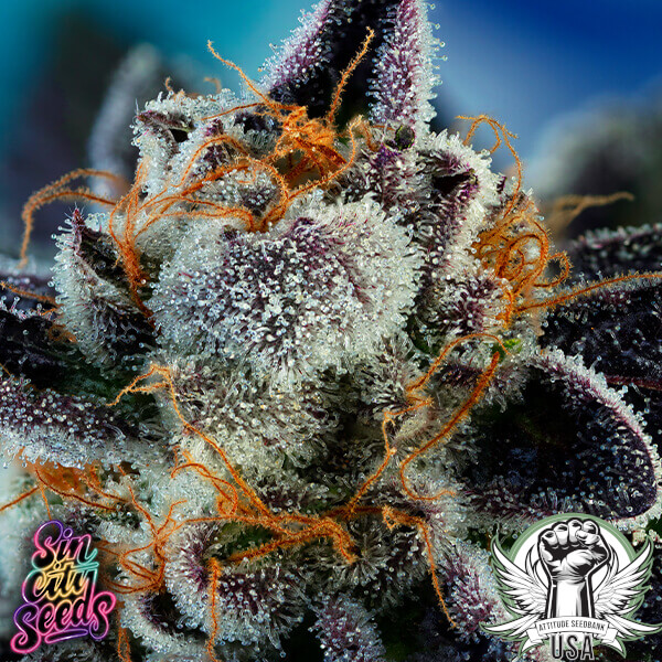 SinCity Seeds Wedding Mints