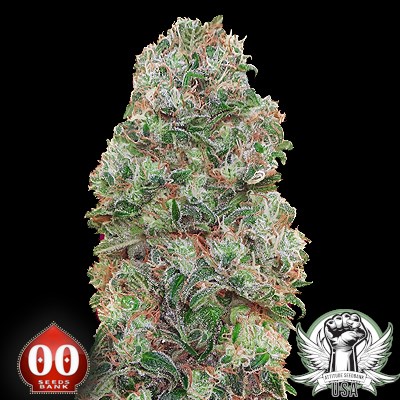 00 Seeds Bubblegum