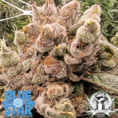 attitude usa bluestar blue trop cherry 2_400x400.jpg