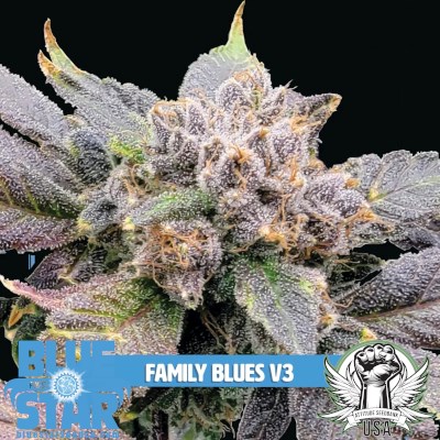 attitude usa bluestar family blues v3 2_400x400.jpg