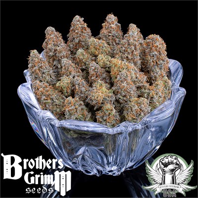 attitude usa brothers grimm g13 genius 3_400x400.jpg