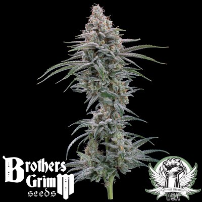 attitude usa brothers grimm grimm mints 1_400x400.jpg