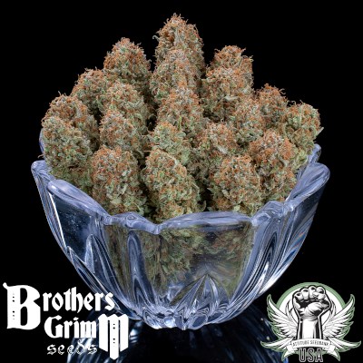 attitude usa brothers grimm puck yes 3_400x400.jpg