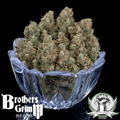 attitude usa brothers grimm rosetta stoned 3_400x400.jpg