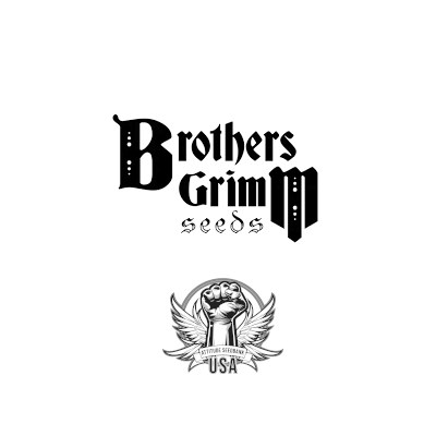 Brothers Grimm Seeds Headband 99 XX