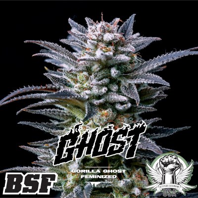 BSF Seeds Gorilla Kingdom Ghost