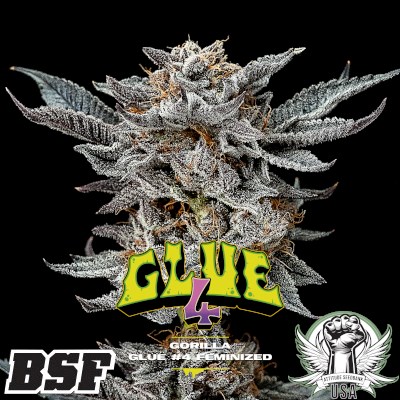 BSF Seeds Gorilla Kingdom Glue #4