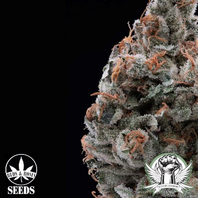 attitude usa buds and roses chili verdexlegend og 1_400x400.jpg