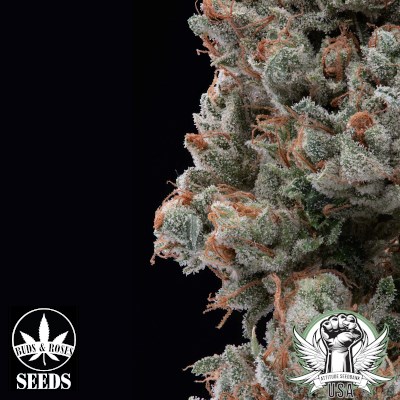 attitude usa buds and roses gg4xlegend og 1_400x400.jpg