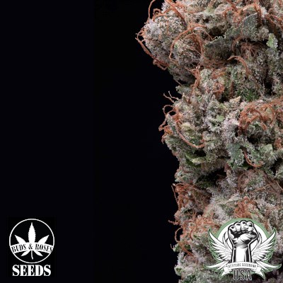 attitude usa buds and roses juicy gushersxlegend og 1_400x400.jpg